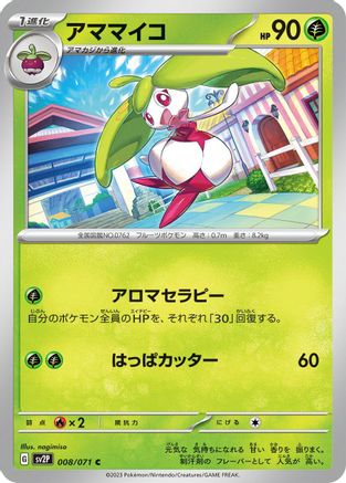 Steenee (008/071) - SV2P Snow Hazard