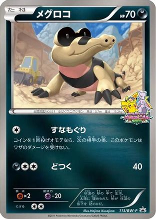 Sandile - 113/BW-P (113/BW-P) - BWP Promotional cards Holofoil